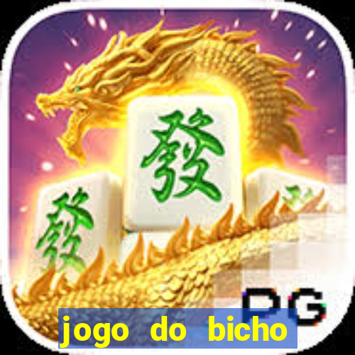 jogo do bicho crash bingo